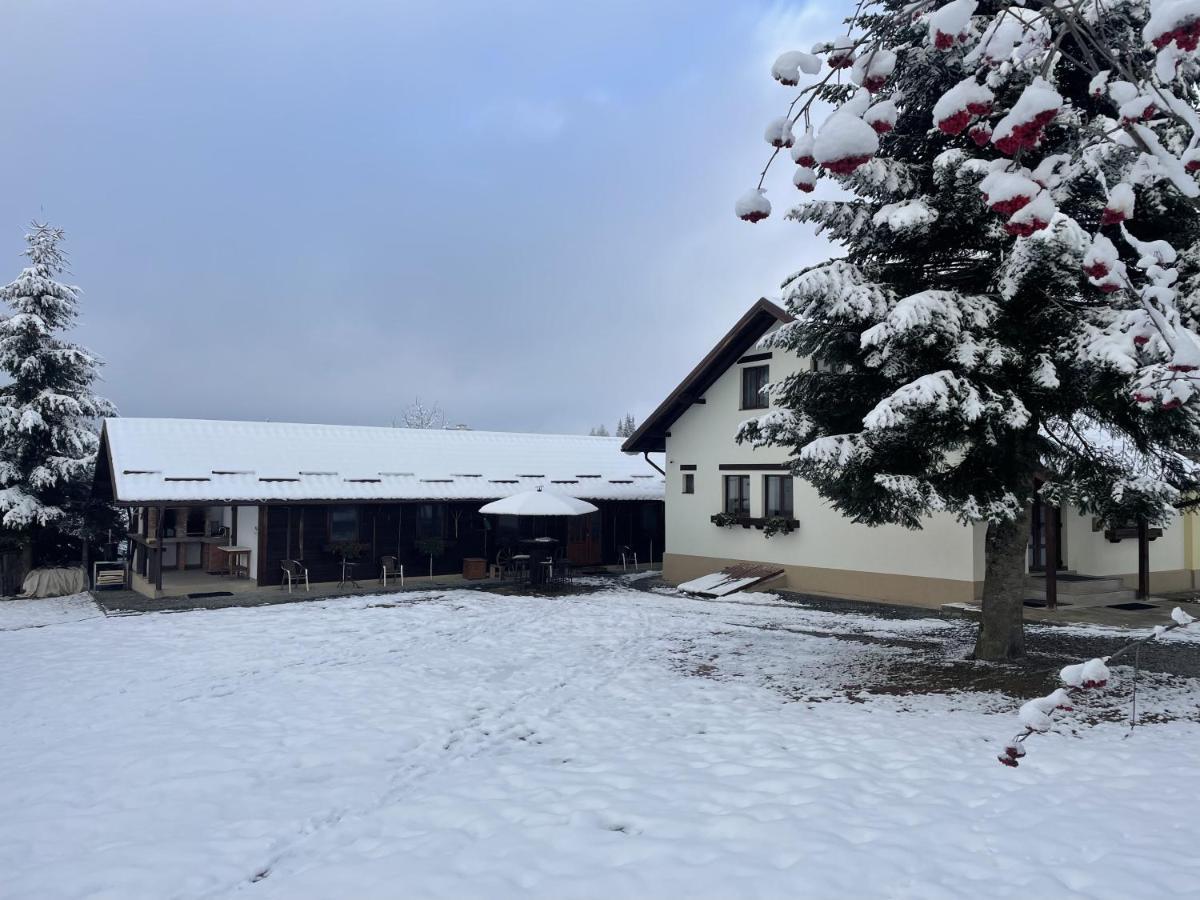 Pensiunea Vis Alpin Beliş Esterno foto
