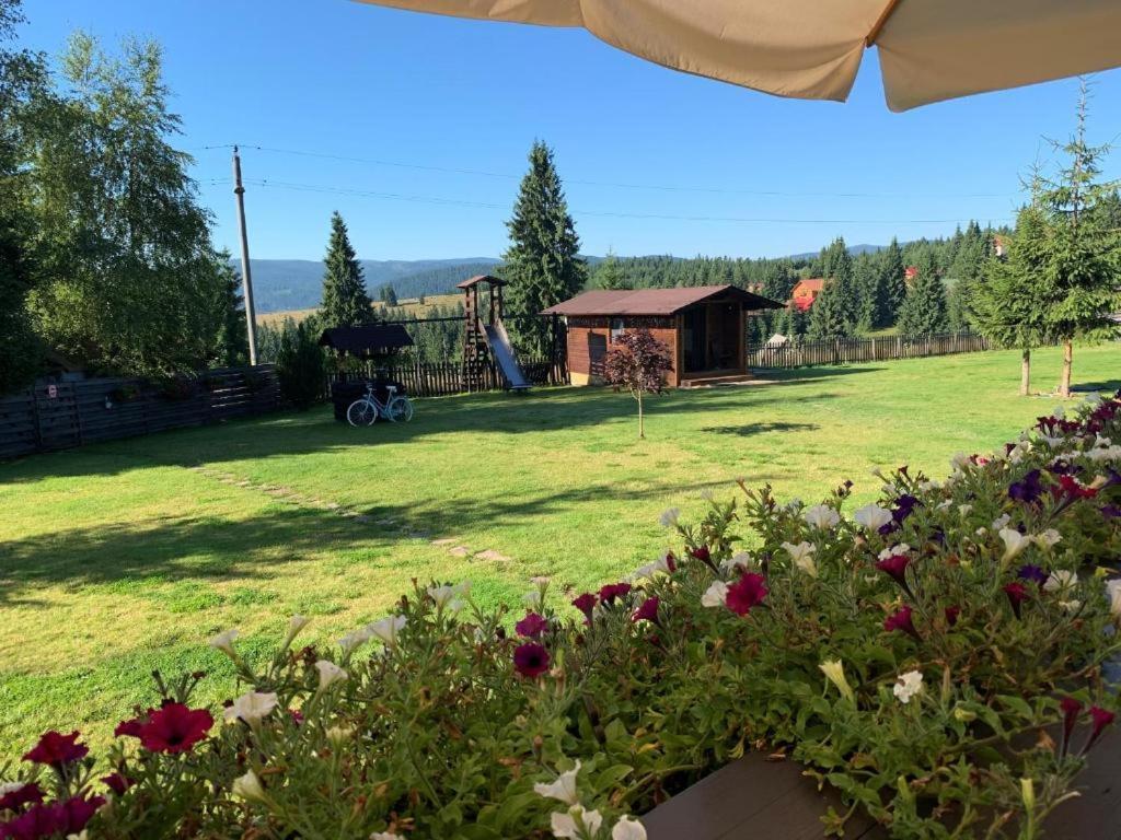 Pensiunea Vis Alpin Beliş Esterno foto