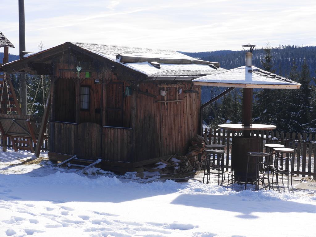 Pensiunea Vis Alpin Beliş Esterno foto
